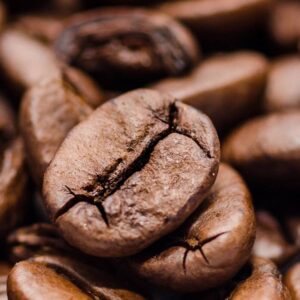 Driadescoffee Premium Reusable Cafe Mugs
